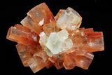Lot: Small Twinned Aragonite Crystals - Pieces #78109-3
